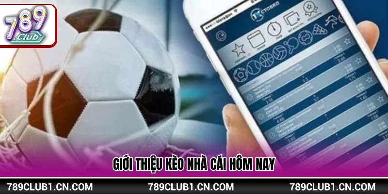 Tổng quan tỷ lệ kèo nhà cái hôm nay