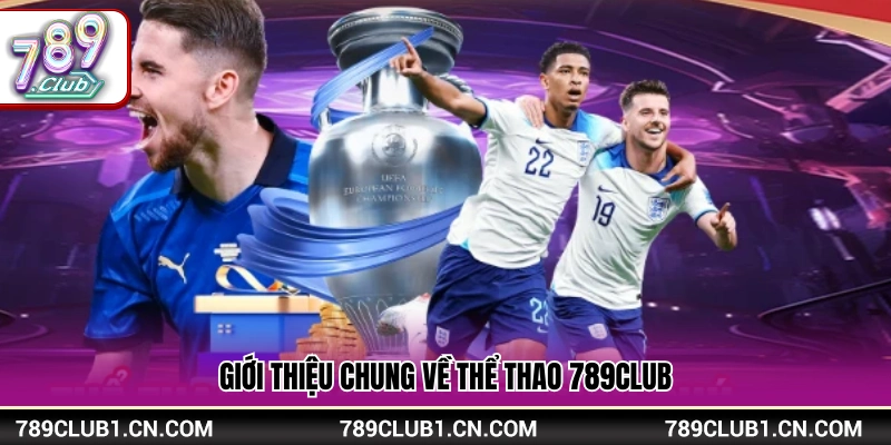 Tổng quan sảnh cá cược thể thao tại 789 Club